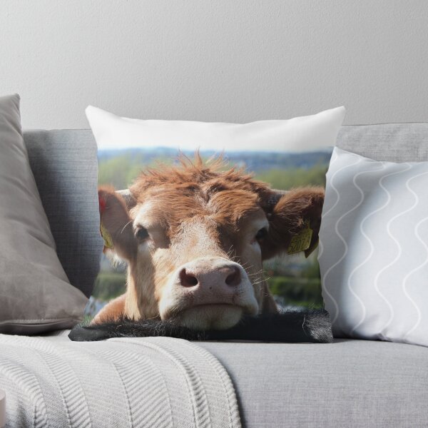 Cow pillows shop