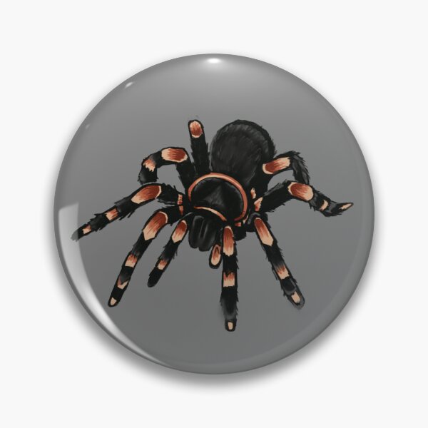 Item preview, Tarantula  designed and sold by CrispyDelicious.