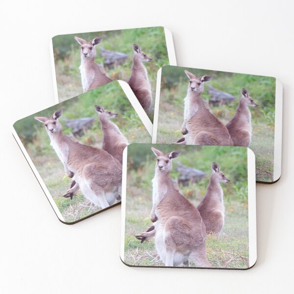 Item preview, Kangaroo keeping a watchful eye, but the child just won't leave home  designed and sold by BirdsAlive.