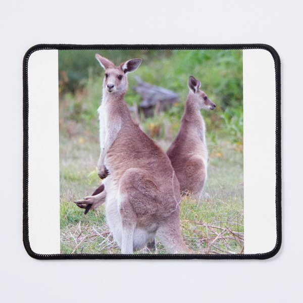Item preview, Kangaroo keeping a watchful eye, but the child just won't leave home  designed and sold by BirdsAlive.