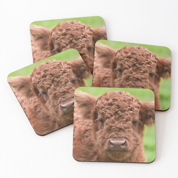 Item preview, Meet the Adorable Highland Calf designed and sold by rawshutterbug.