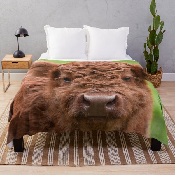 Item preview, Meet the Adorable Highland Calf designed and sold by rawshutterbug.