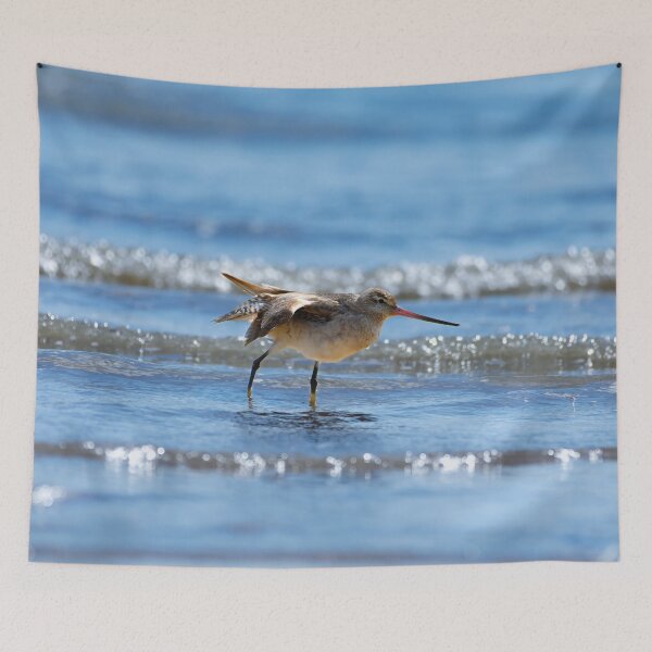 Item preview, Shoreline Stroll designed and sold by AvianAdventures.