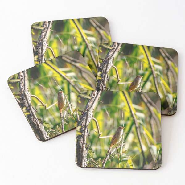 Item preview, Golden Hour Perch in the Grasslands designed and sold by AvianAdventures.