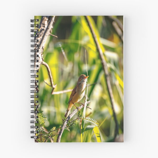 Item preview, Golden Hour Perch in the Grasslands designed and sold by AvianAdventures.