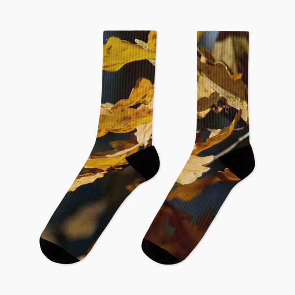 Item preview, The fall of Pedunculate oak 1 designed and sold by Jouko Lehto Photography.
