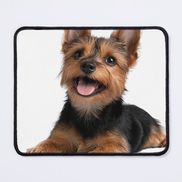 Item preview, Fluffy brown fur puppy sleeps designed and sold by MamaDong.
