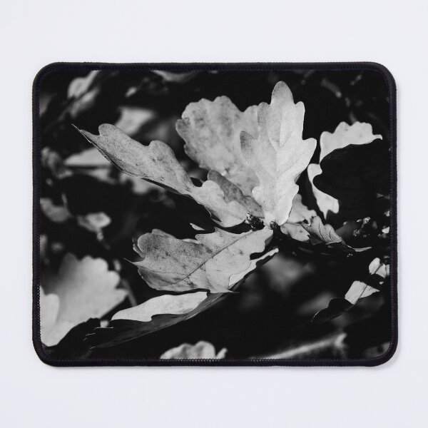 Item preview, The fall of Pedunculate oak 2 bw designed and sold by Jouko Lehto Photography.