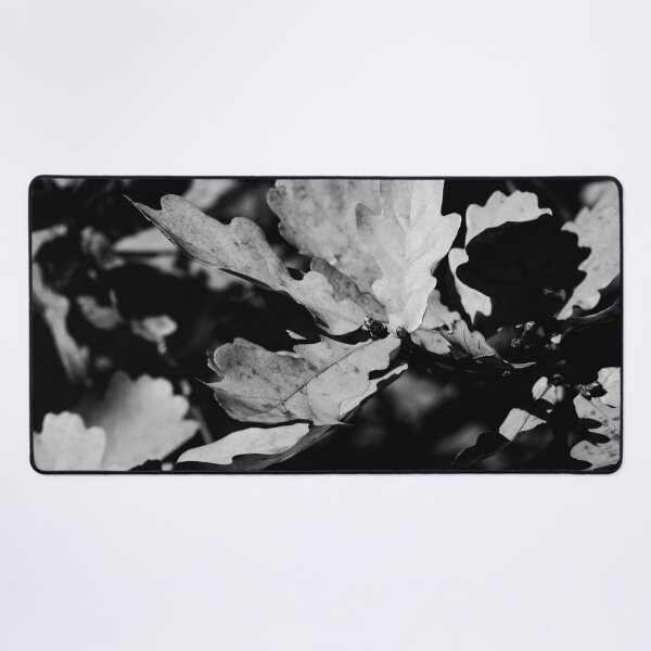 Item preview, The fall of Pedunculate oak 2 bw designed and sold by Jouko Lehto Photography.