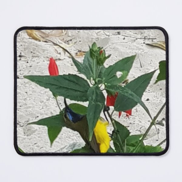 Item preview, Sunbird designed and sold by JulieMoss.