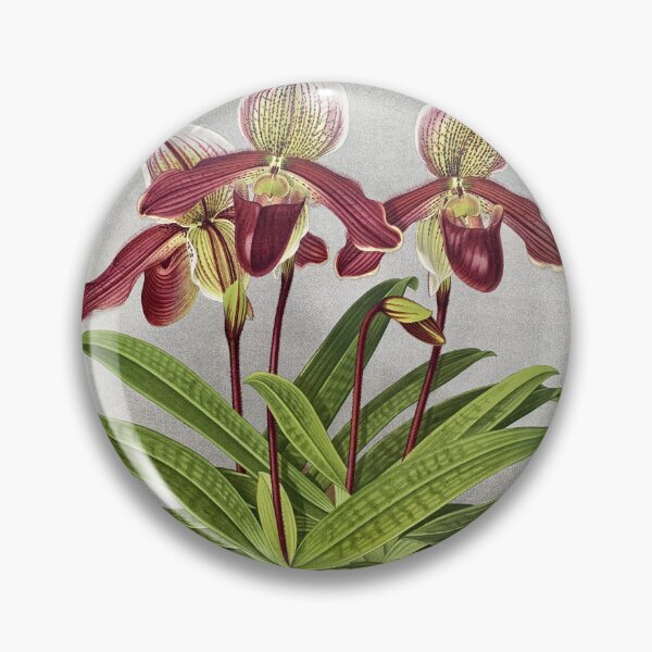 Item preview, Orchid Cypripedium oenanthum lithograph designed and sold by Infraredphoto.
