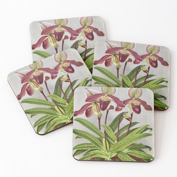 Item preview, Orchid Cypripedium oenanthum lithograph designed and sold by Infraredphoto.