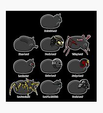 Sci-Fi Cat Loaves Photographic Print