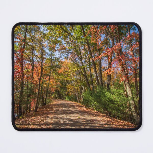 Item preview, "Autumn Road" 2020 (Photograph) designed and sold by RealmOfImages.