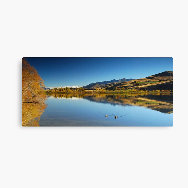 Lucky Ducks Canvas Print