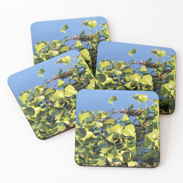 Item preview, Green Aquatic Plants designed and sold by Cynthia48.