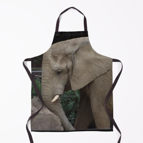 Item preview, Adult African Elephant pushing against large wooden tree truck with small tusks designed and sold by Jacobs-Media.