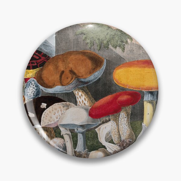 Item preview, Edible fungi: 19 species, including horse and field mushrooms (Agaricus), morels (Morchella and Helvella) and Boletus species. Coloured lithograph by A. Cornillon, ca. 1827, after Prieur. designed and sold by Vintage Designs +.