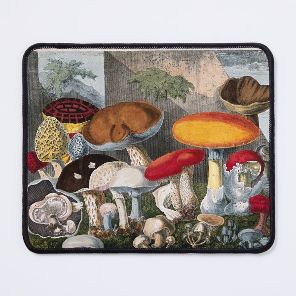 Item preview, Edible fungi: 19 species, including horse and field mushrooms (Agaricus), morels (Morchella and Helvella) and Boletus species. Coloured lithograph by A. Cornillon, ca. 1827, after Prieur. designed and sold by Vintage Designs +.