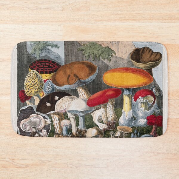 Item preview, Edible fungi: 19 species, including horse and field mushrooms (Agaricus), morels (Morchella and Helvella) and Boletus species. Coloured lithograph by A. Cornillon, ca. 1827, after Prieur. designed and sold by Vintage Designs +.