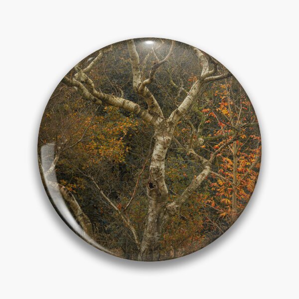 Item preview, Moody Autumn Silver Birch Tree designed and sold by RobThorley.