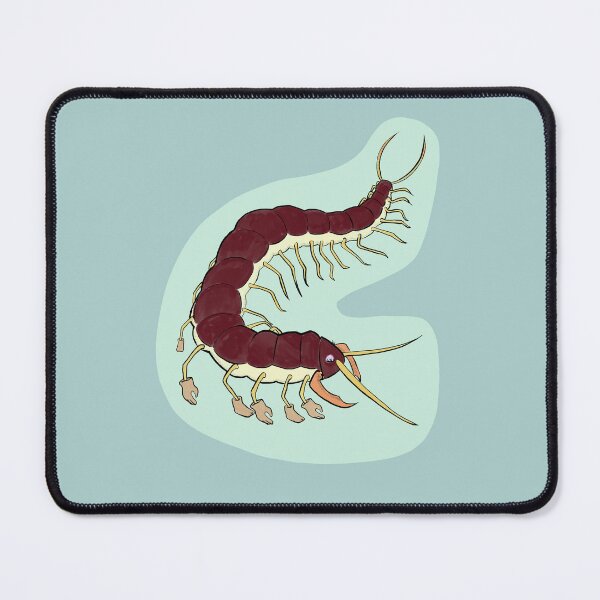 Item preview, Centipede in a Human costume designed and sold by RyanAshCrafts.