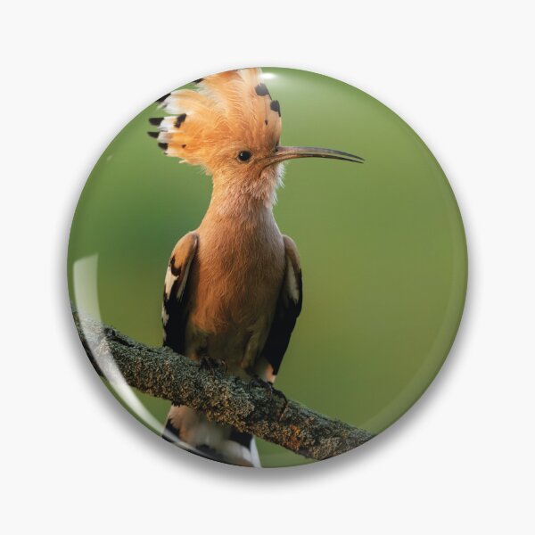 Item preview, hoopoe designed and sold by skalihm.