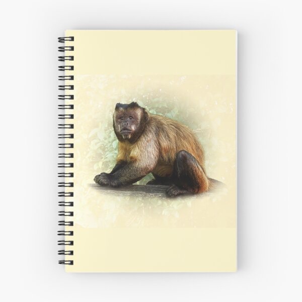 Item preview, Tufted Capuchin designed and sold by Guardi71.