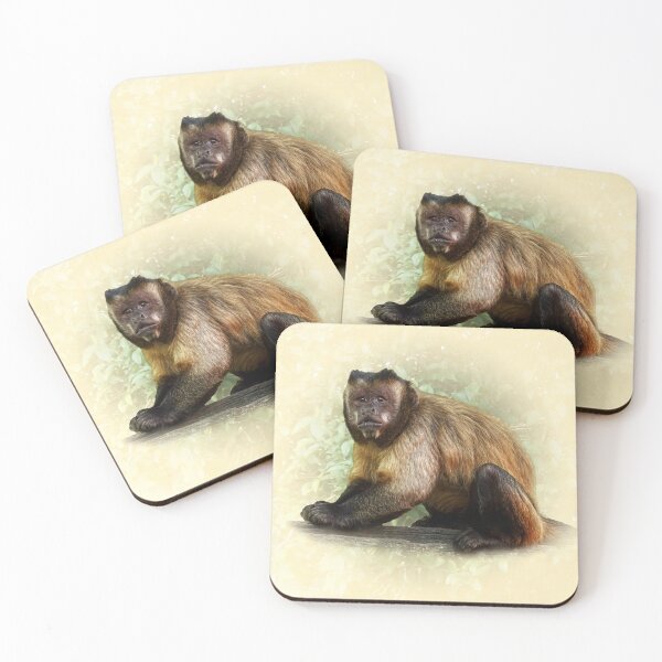 Item preview, Tufted Capuchin designed and sold by Guardi71.