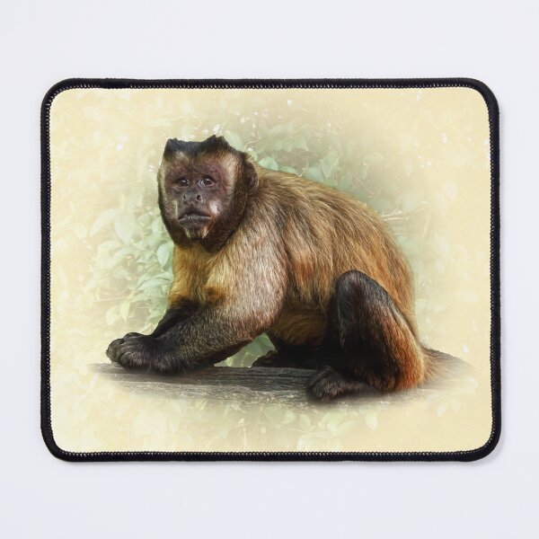 Item preview, Tufted Capuchin designed and sold by Guardi71.