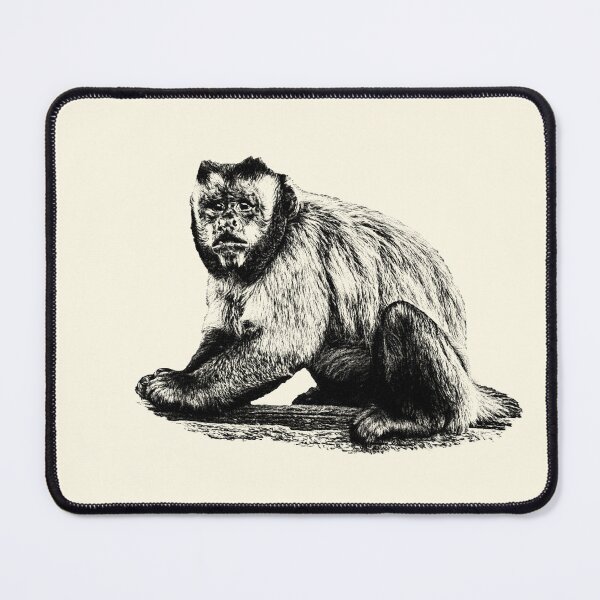Item preview, Tufted Capuchin designed and sold by Guardi71.