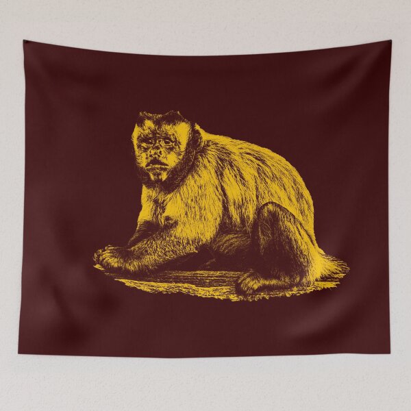 Item preview, Tufted Capuchin designed and sold by Guardi71.