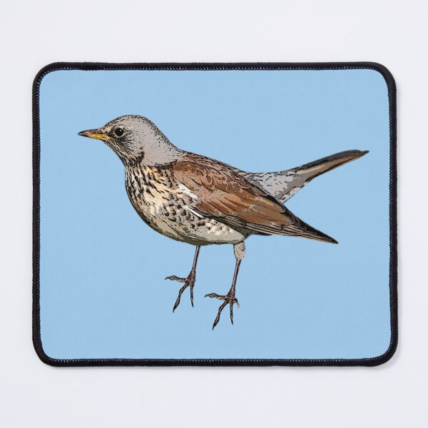 Item preview, Fieldfare Color Design  designed and sold by designsasstultd.