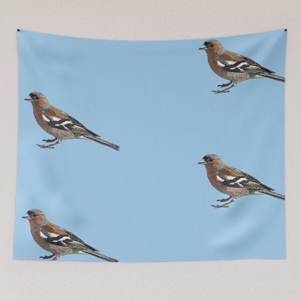 Item preview, Common Chaffinch Color Design  designed and sold by designsasstultd.