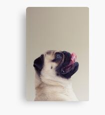 Mops Leben Leinwanddruck