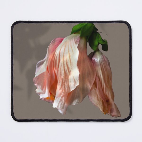 Item preview, Wilted Hibiscus designed and sold by TurquoiseBird.