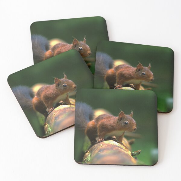 Item preview, Cute Red Squirrel 3 designed and sold by HelkoryoArt.