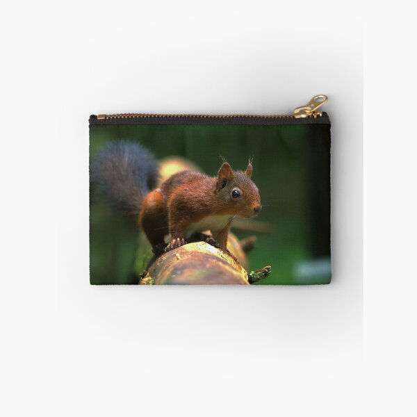 Item preview, Cute Red Squirrel 3 designed and sold by HelkoryoArt.