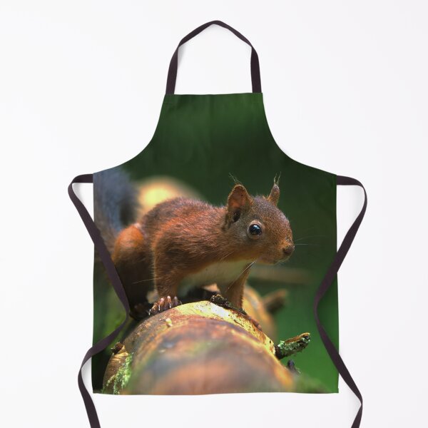Item preview, Cute Red Squirrel 3 designed and sold by HelkoryoArt.