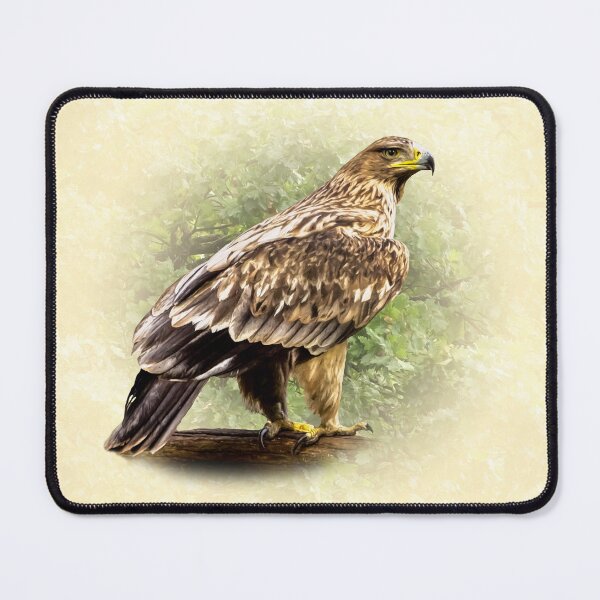 Item preview, Eagle designed and sold by Guardi71.