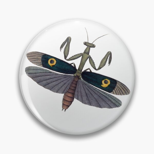 Item preview, Praying Mantis Wings Illustration, Mantodea, Entomology Illustration  designed and sold by HawthorneFlame.