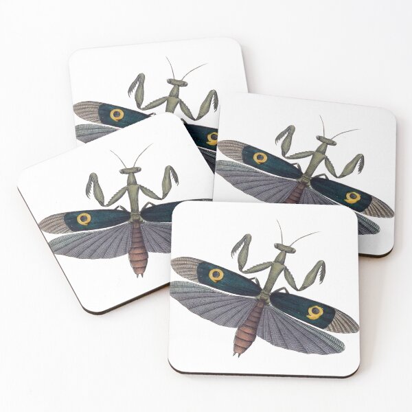 Item preview, Praying Mantis Wings Illustration, Mantodea, Entomology Illustration  designed and sold by HawthorneFlame.