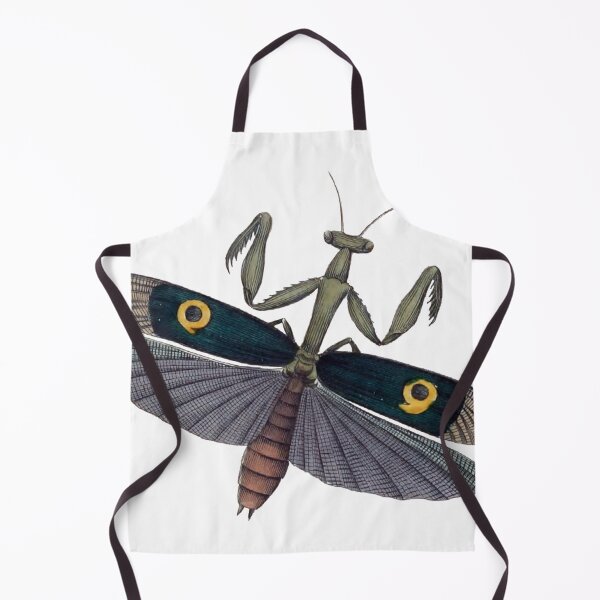 Item preview, Praying Mantis Wings Illustration, Mantodea, Entomology Illustration designed and sold by HawthorneFlame.