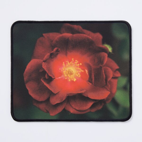 Item preview, Alleyway red camellia designed and sold by foxhopfilm.