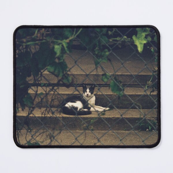 Item preview, Downtown fenced cat designed and sold by foxhopfilm.