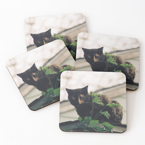 Item preview, Guardian alleycat designed and sold by foxhopfilm.
