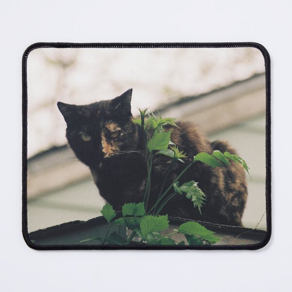 Item preview, Guardian alleycat designed and sold by foxhopfilm.