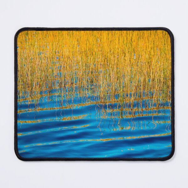 Item preview, Blue Waters Golden Grass Merritt Island National Wildlife Refuge X102 designed and sold by RichFrancoCars.
