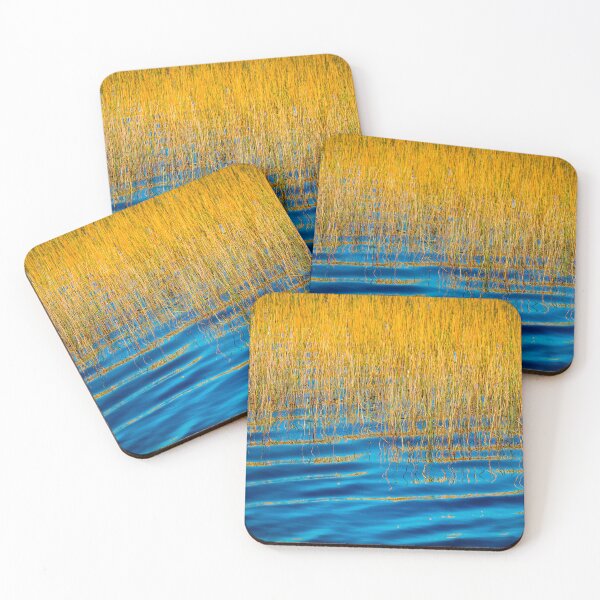 Item preview, Blue Waters Golden Grass  Merritt Island National Wildlife Refuge X102 designed and sold by RichFrancoCars.
