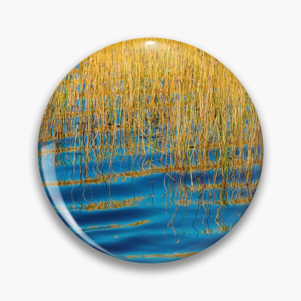 Item preview, Blue Waters Golden Grass  Merritt Island National Wildlife Refuge X102 designed and sold by RichFrancoCars.